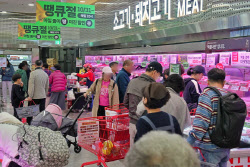 &apos;공휴일 대형마트 의무휴업 강제&apos; 발의에…이마트 등 급락[특징주]