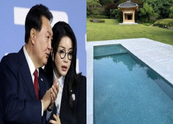 “수영하는 개? 못 봤다”…‘파란색 타일’ 깔린 尹 조경용 수조 공방