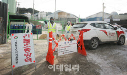 충남 서산서 AI항원 검출…2만8천마리 살처분