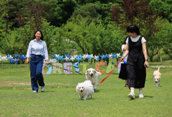 이슈