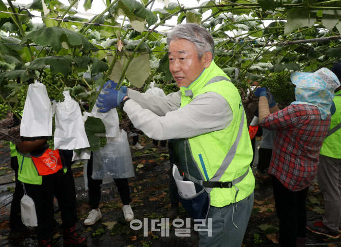  농촌일손돕기 나선 강호동 농협 회장                                                                                                                                                               