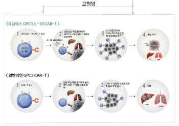 베일 벗는 유틸렉스의 ‘고형암 CAR-T’, 내달 日서 중간발표