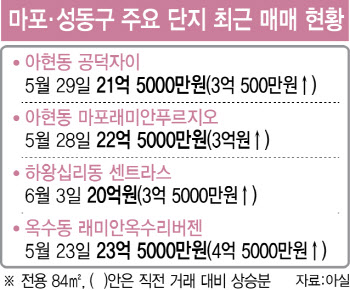 "집값 수억씩 쑥쑥" 마·성의 풍선효과…규제 칼 벼르는 당국