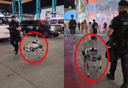 베이징에 등장한 경찰 로봇 개, 특공대와 순찰 나섰다[중국나라]