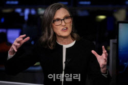 &apos;상장 후 600% 급등&apos;…돈나무 언니가 투자한 &apos;이 종목&apos; 정체는