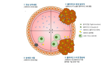 ‘1.8조 기술수출’ 에이비온, 법차손 리스크까지 두 토끼 잡았다
