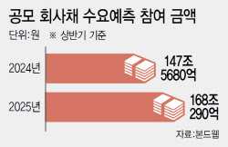 길 잃은 뭉칫돈 몰려...회사채에 역대급 자금 몰렸다