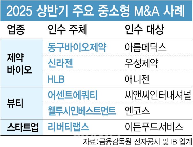 "틈새는 우리가 메운다"...빅딜 명암 속 빛난 중소형 M&A - 뉴스 썸네일 이미지