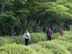 [포토] 산책하는 시민들                                                                                                                                                                                  