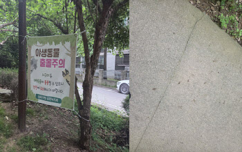 [단독]공원 산책하던 시민 습격한 오소리…`캣맘 탓` 지적도