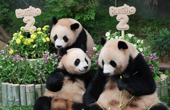 '엄마와 함께 보내는 마지막 생일'                                                                                                                                                        