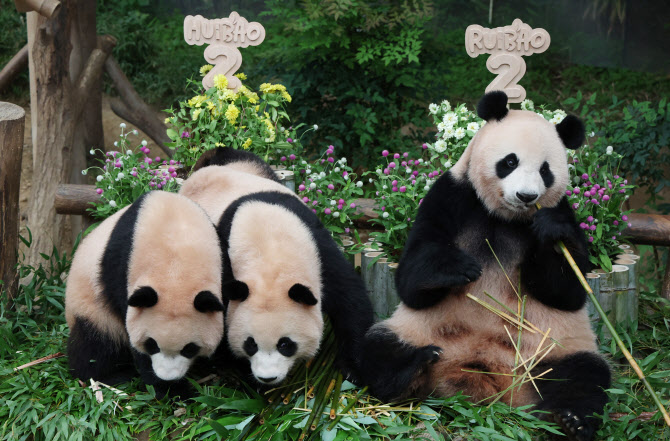 '엄마 감사합니다'                                                                                                                                                                       