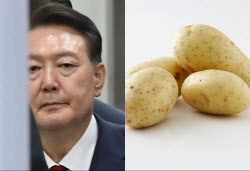&apos;찐감자에 소금&apos; 윤석열 구속 이후 첫 아침 살펴보니