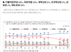 민주 45% 국힘 19%…野, 첫 10% 대 지지율[NBS]