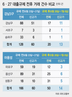 대출규제 ‘마용성’엔 먹혔다…거래 절반은 가격 낮춰 매매