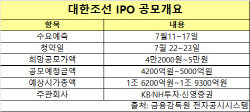 '하반기 IPO 대어' 대한조선, '조선주 활황' 바통 넘겨받을까