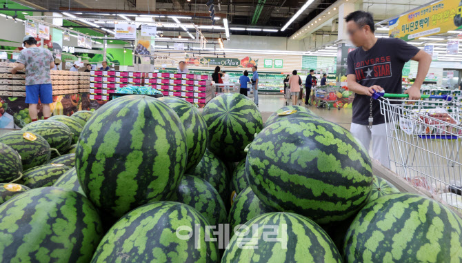 때 이른 폭염에 과일·채소·수산물 값 급등…‘히트플레이션’ 습격                                                                                                                                  