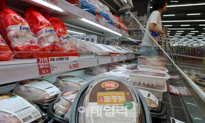폭염에 폐사 늘어···닭 가격 고공행진