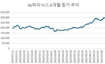 ‘30만닉스’ 찍었는데 &apos;중립&apos; 리포트 찬물…엇갈린 전망[주톡피아]