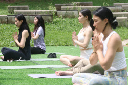 [포토]서울숲 공기 마시며 요가                                                                                                                                                                           