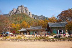 청송·산청·보은, 3대 산림여행지로 꼽혀…캠핑은 연천이 1위