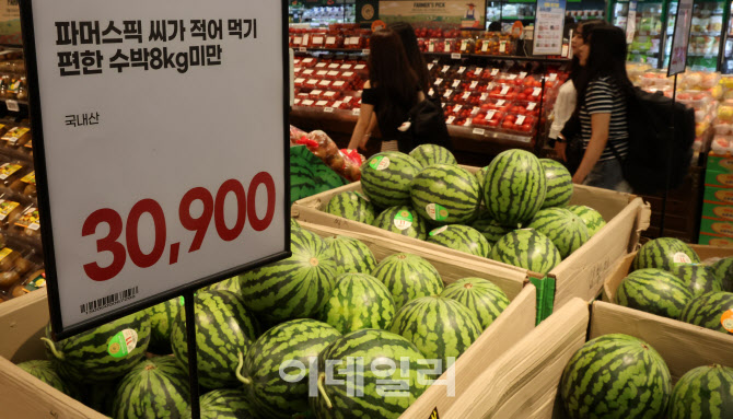 여름철 밥상물가 초비상                                                                                                                                                                            