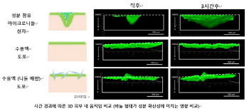 日다이쇼 “라파스 마이크로니들, 흡수율·확산성 확인”…日매출 날개단다