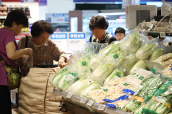 커져가는 먹거리 물가 불안…&apos;소비쿠폰&apos;·&apos;할인지원&apos;도 자극 우려