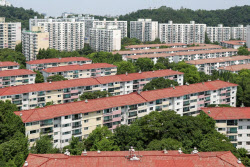 목동 재건축 호재였는데 날벼락…
