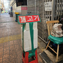 “보신탕 금지!” 단속 비웃듯 버젓이 팔리는 ‘개고기’