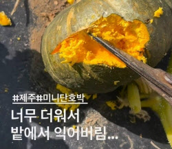 주요뉴스