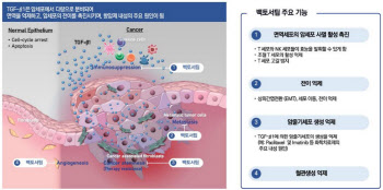 메드팩토 ‘백토서팁’ 골육종 단독 임상 주목…재조명 가능성