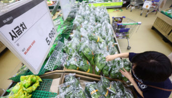 "시금치 나물 해먹기도 겁난다"…폭염에 '미친 물가'(종합)