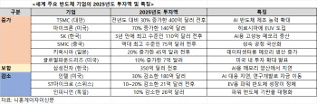 'AI 열풍'에 세계 주요 반도체 기업 투자액 187조원…3년 만에 증가세