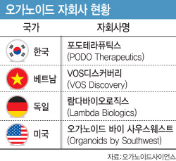 오가노이드사이언스, 자회사 4개나 필요한 까닭은?