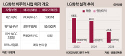 [마켓인]에스테틱 매각한 LG화학…LG에너지솔루션 지분 향방은