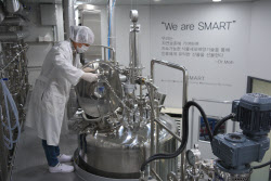 Bio FD&C, Curocell, ST Pharm Surge on Commercialization Gains[K-Bio Pulse]