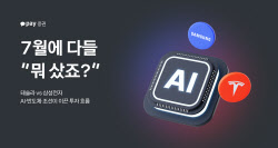 개미들 최애 종목은?…“미장은 테슬라, 국장은 삼전”