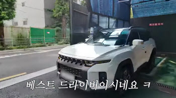 &apos;月수입 1억&apos; 쯔양, 차 최초 공개…포르쉐·롤스로이스 아닌 &apos;토레스&apos;[누구차]