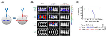 TiCARos CLIP CAR Platform Publishes Paper in Nature Communications