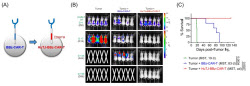TiCARos CLIP CAR Platform Publishes Paper in Nature Communications