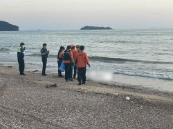 “바지에 하반신 뼈만”…태안 해수욕장서 의문의 사체
