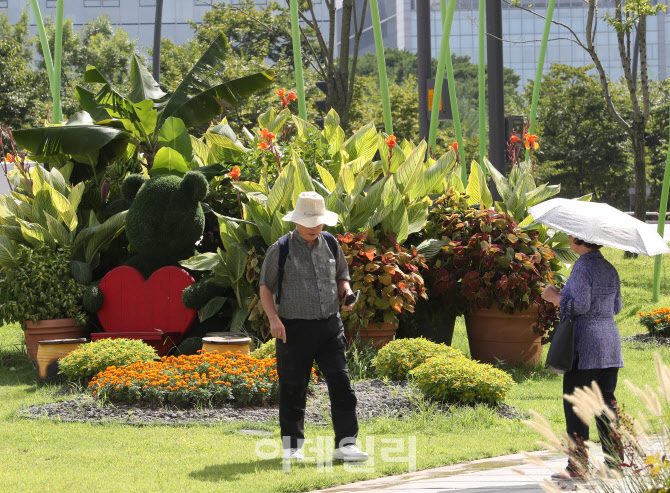  폭염 속 산책하는 시민                                                                                                                                                                            