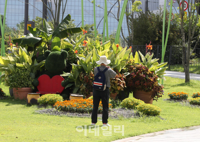  초가을 폭염                                                                                                                                                                                      