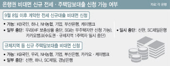 "전세대출 줄어드나요" 문의 빗발…은행 비대면 신청 셧다운 악순환