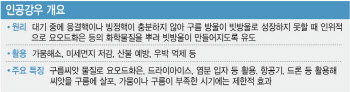 “구름씨 뿌려 가뭄 막을 수 있을까”...불붙은 인공강우 논쟁