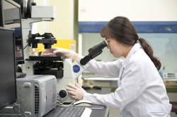 KGC인삼공사, 홍삼의 콜레스테롤 개선 기전 최초 확인