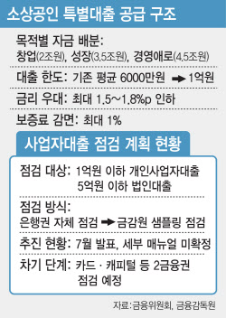 &apos;작업대출&apos; 표적 될라…&apos;10조 소상공인 자금&apos; 단속 빈틈 우려