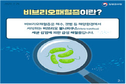 주요뉴스