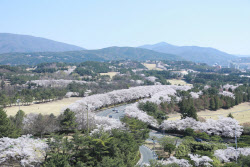 주요뉴스